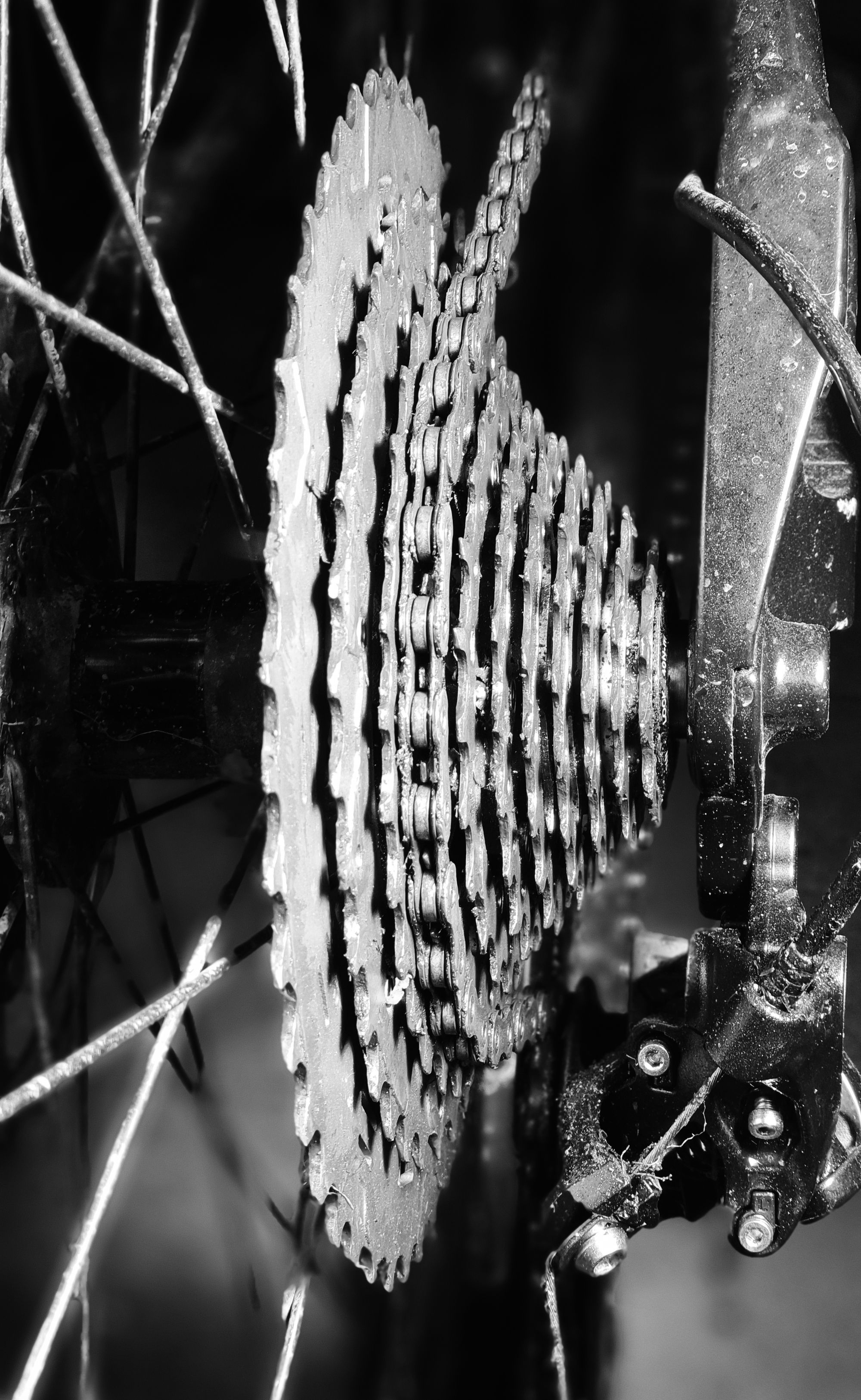 Shimano Vs Sram Cassette Price And Weight Comparison