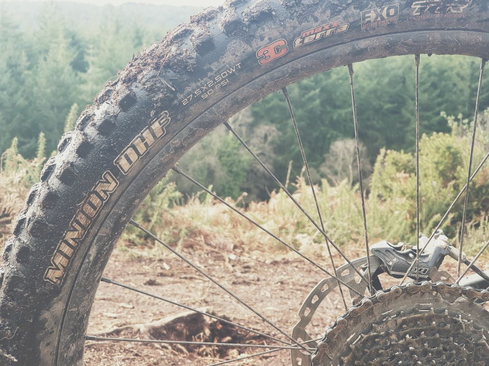 maxxis dhf 2.5 wt