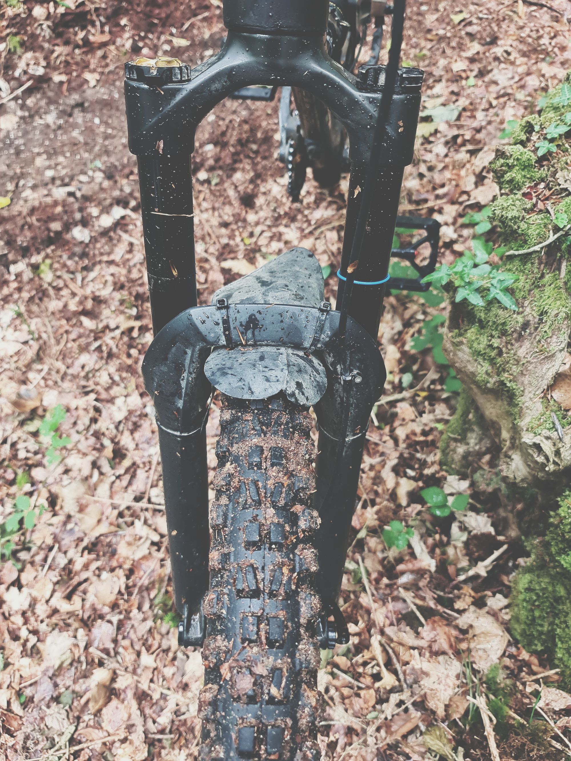 Cane Creek Helm Coil Fork Long Term Review