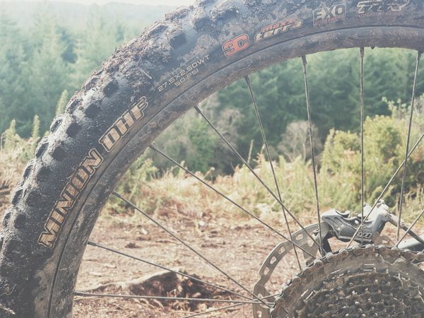 Maxxis DHF 2.5 WT Exo Long Term Review