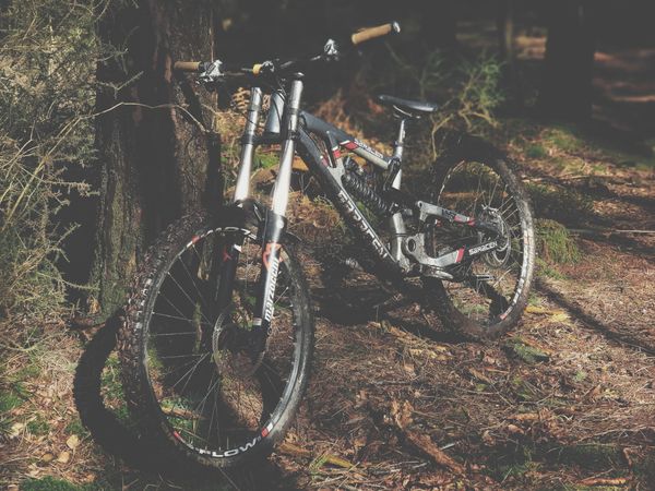 Saracen Myst 2015 frame long term review